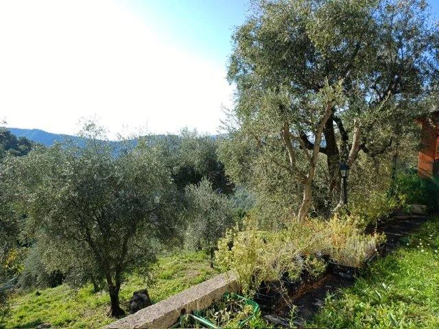 Villa - 54 m² - 3 pièces