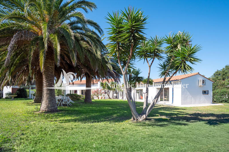 Maison - 256 m² - 7 pièces