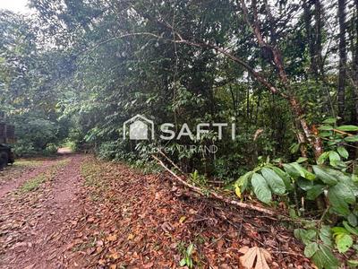 Terrain agricole - 21 855 m²