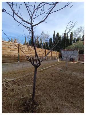 Maison - 75 m² - 3 pièces