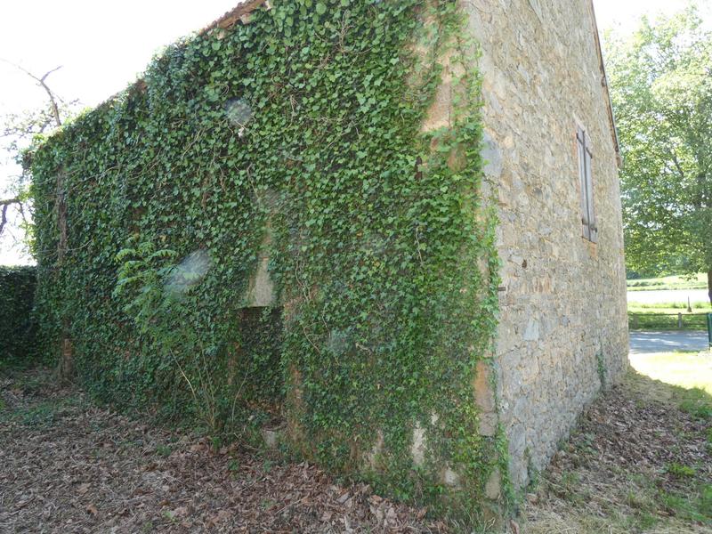 Maison ancienne - 60 m² - 2 pièces