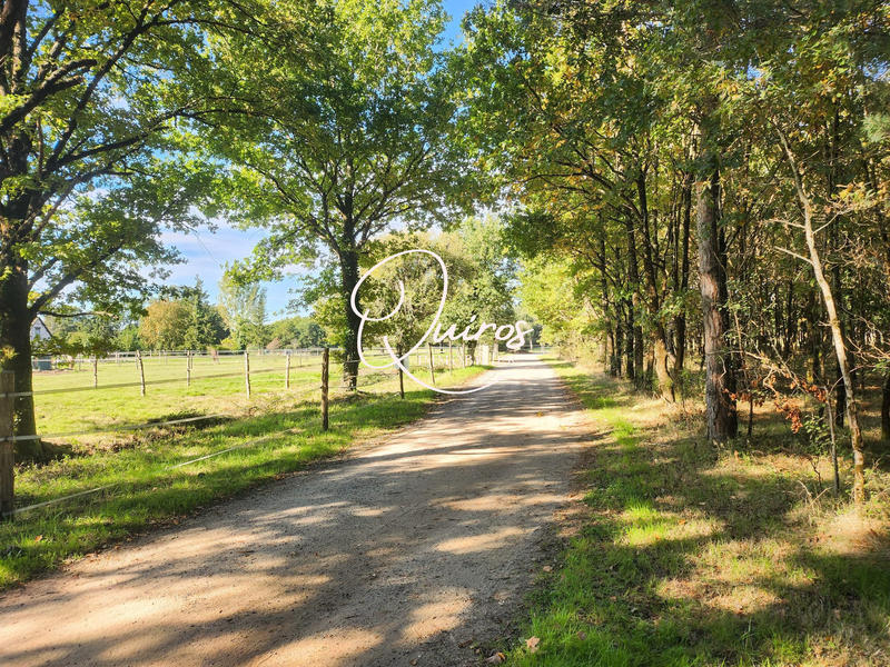 Maison - 300 m² - 10 pièces