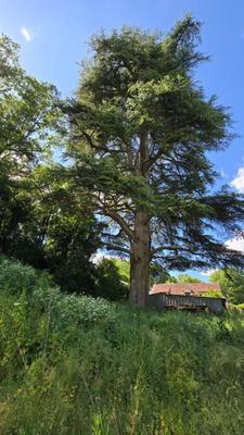 Terrain constructible - 2 372 m²