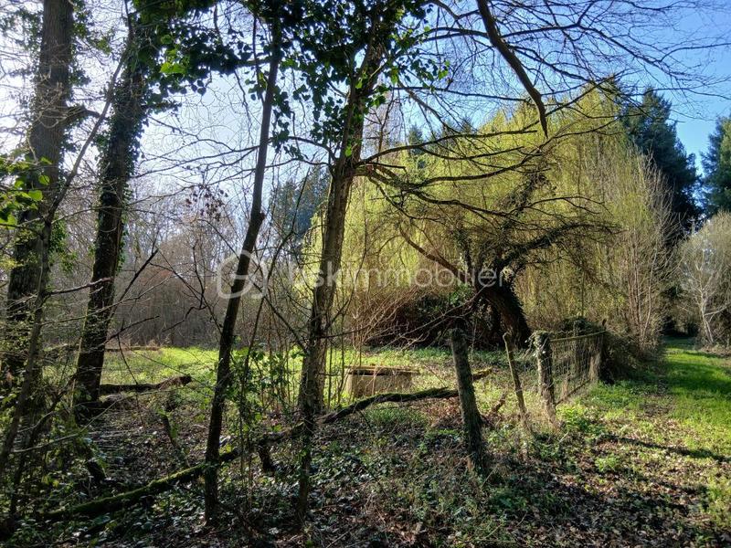 Terrain de loisirs - 10 489 m²