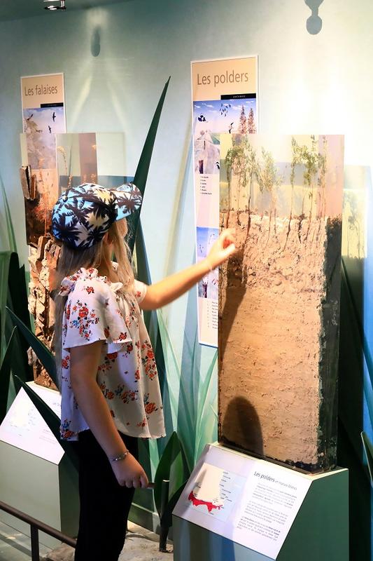 P'tite visite sur les espèces discrètes et monde secret