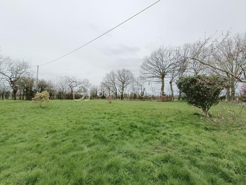 Maison - 195 m² - 7 pièces