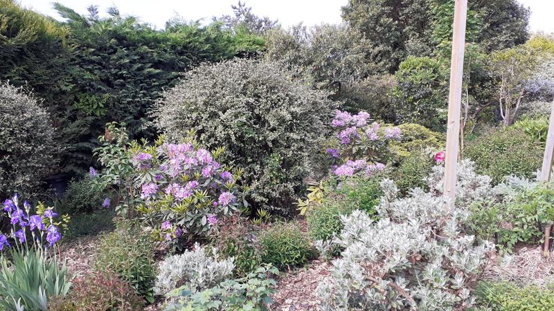 Appartement - 239 m² - 10 pièces