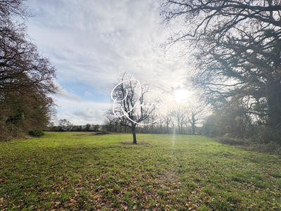 Terrain agricole - 50 402 m²