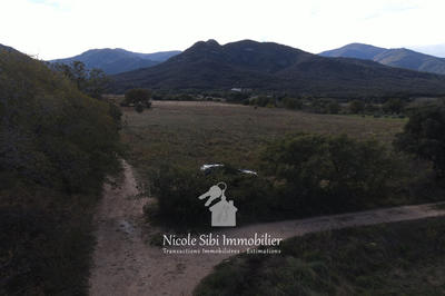 Terrain agricole - 7 544 m²