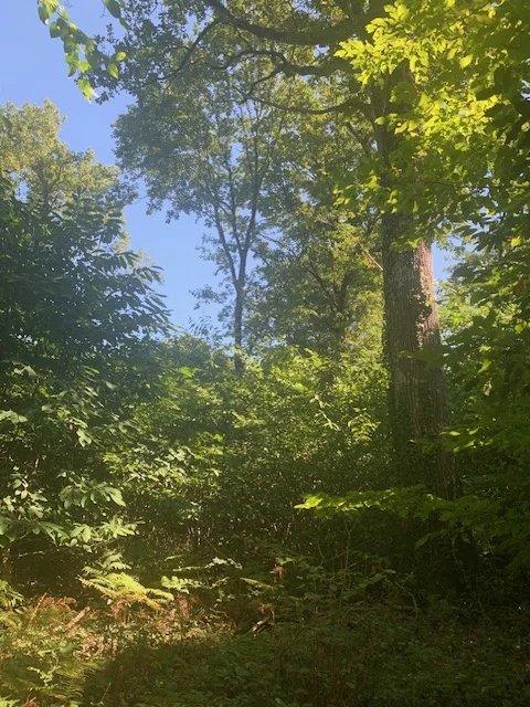 Maison - 175 m² - 6 pièces