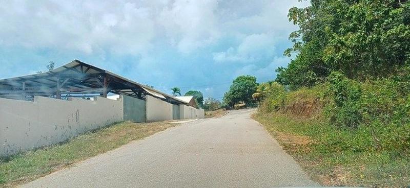 Terrain - 10 505 m²