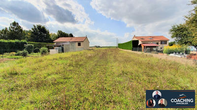 Terrain - 1 238 m²