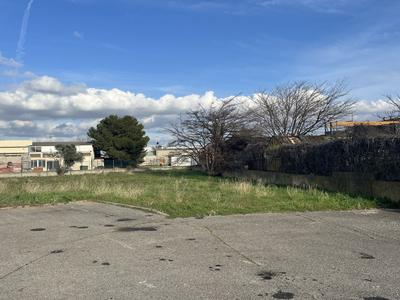 Local d'activités - 1 205 m²