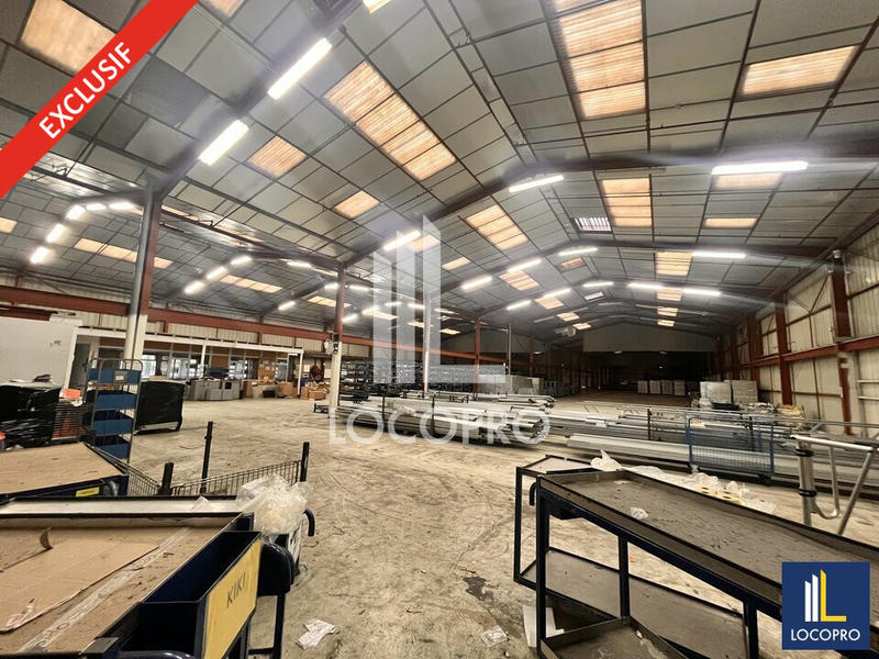 Local d'activité / Entrepôt - 3 700 m²