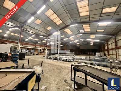 Local d'activité / Entrepôt - 3 700 m²