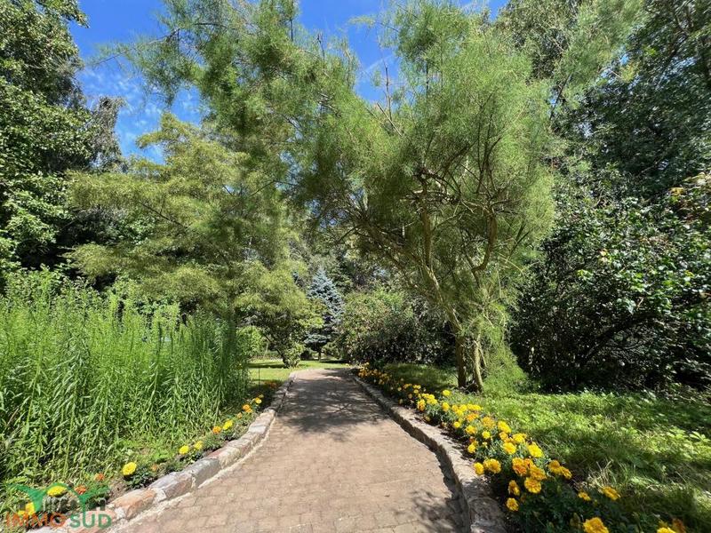 Propriété - 200 m² - 8 pièces