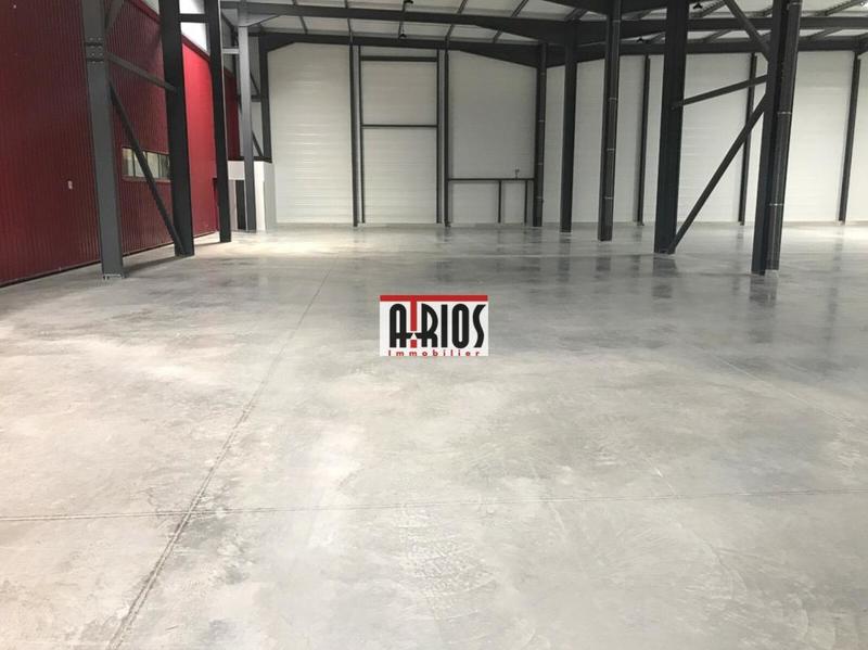 Entrepôt - 1 557 m²