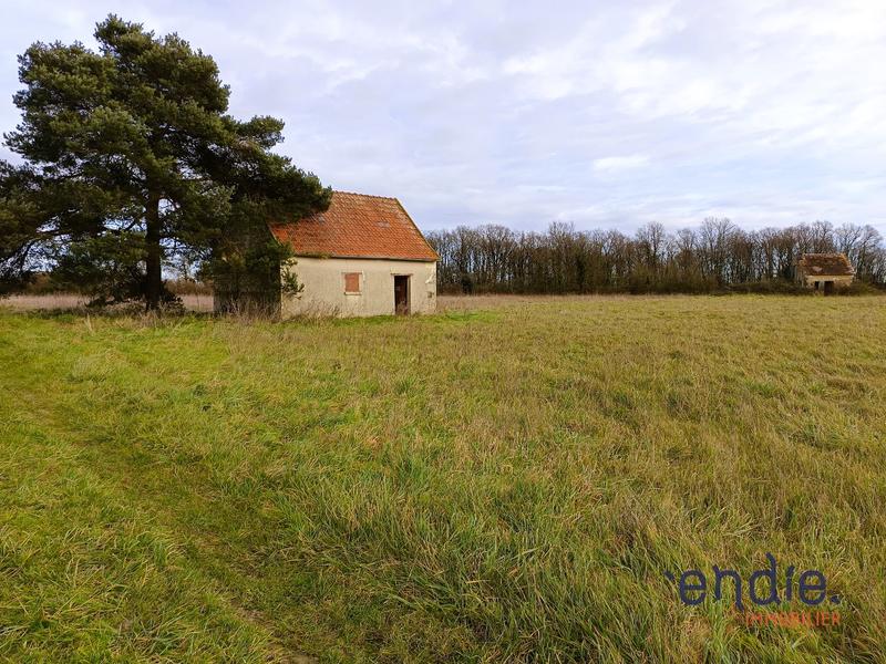 Terrain agricole - 6 248 m²