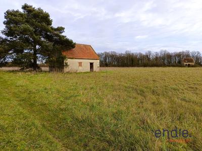 Terrain agricole - 6 248 m²