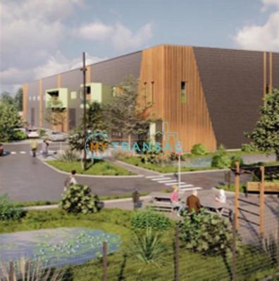 Local d'activités - 905 m²