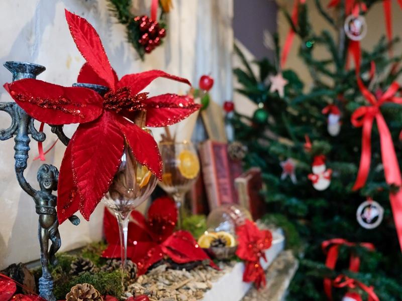 Fête des illuminations