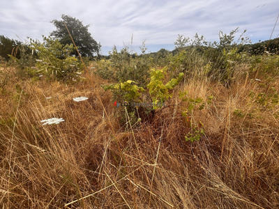 Terrain agricole - 5 000 m²