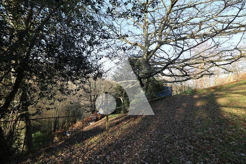 Maison - 135 m² - 2 pièces