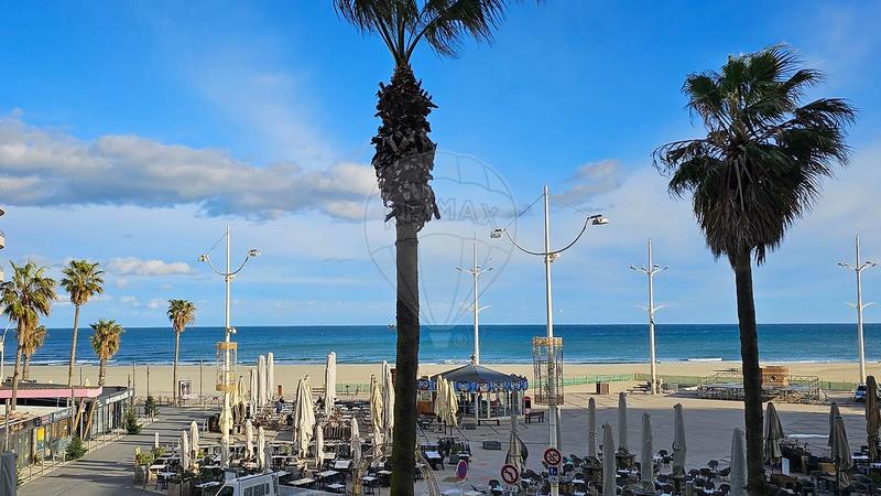 Studio - 38 m² - 1 pièce