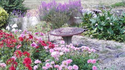 le jardin d'arlette chambres d'hotes