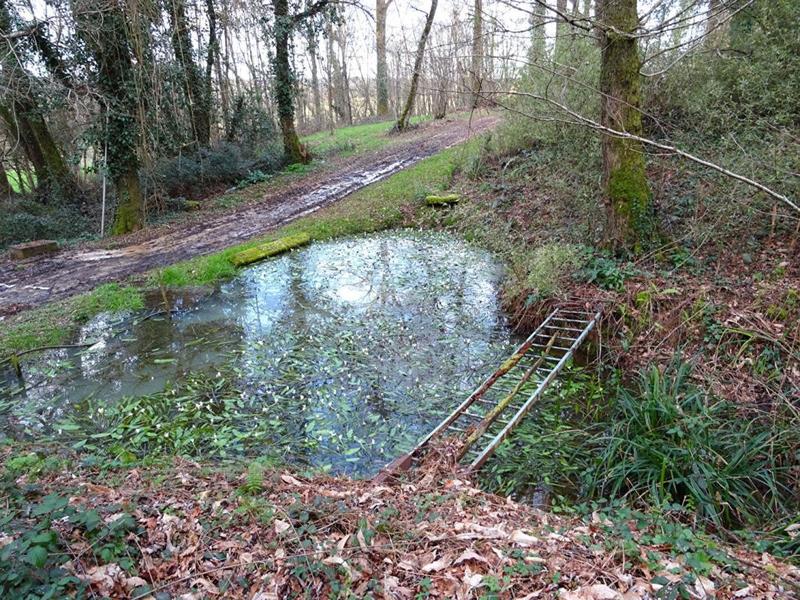 Maison - 178 m² - 6 pièces