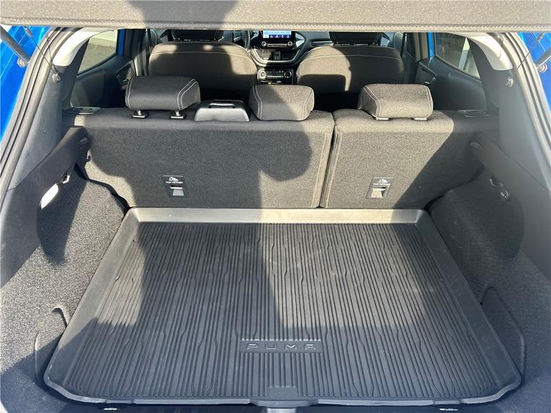 Ford Puma II 1.0 Flexifuel 125 Ch Mhev s&amp;S Bvm6 Titanium Business