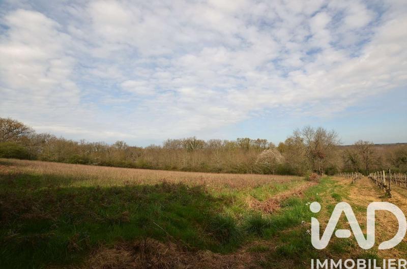 Terrain - 11 292 m²