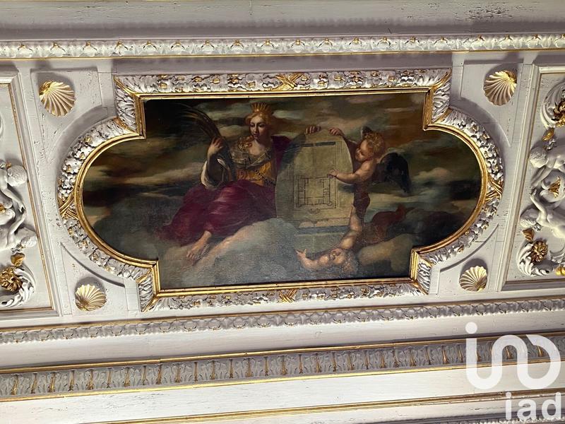 Château - 1 380 m² - 30 pièces