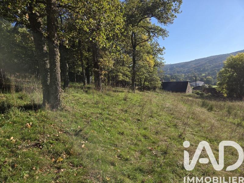 Maison - 130 m² - 4 pièces