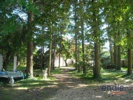 Maison - 272 m² - 10 pièces