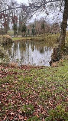 Maison - 275 m² - 6 pièces