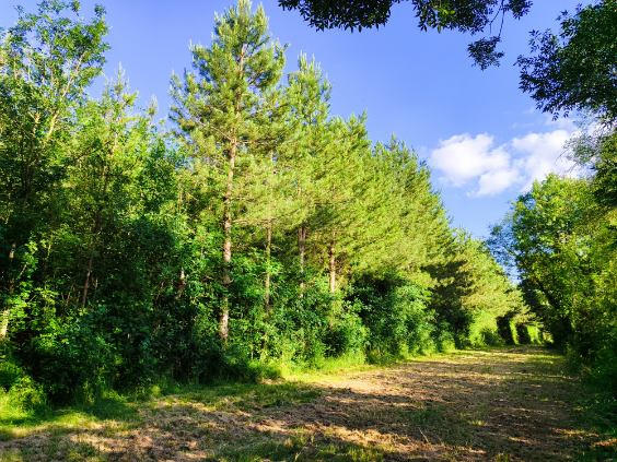 Terrain de loisirs - 44 170 m²