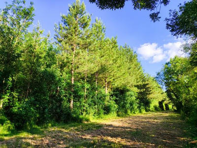 Terrain de loisirs - 44 170 m²