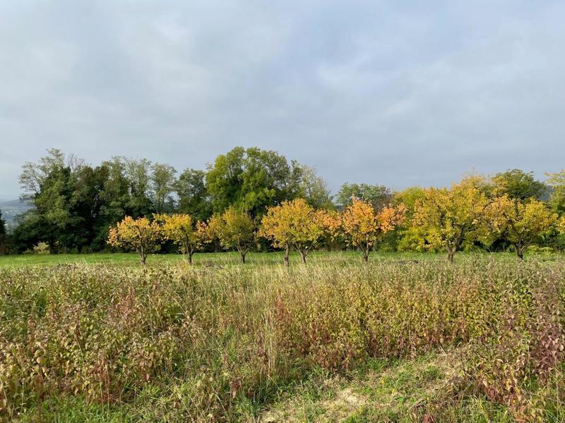 Terrain constructible - 630 m²