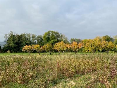 Terrain constructible - 630 m²