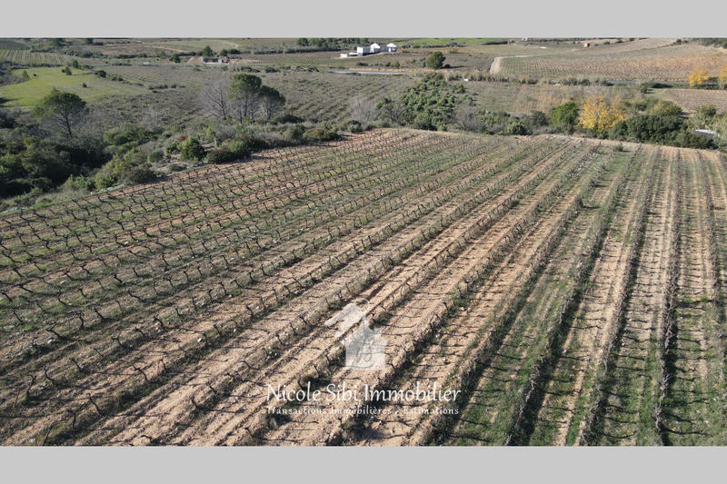 Terrain agricole - 32 050 m²