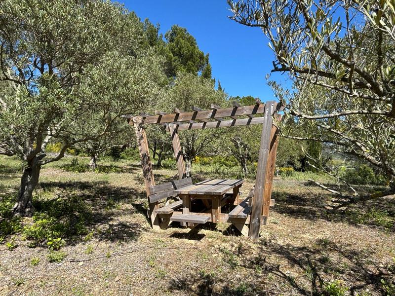 Terrain agricole - 13 051 m²