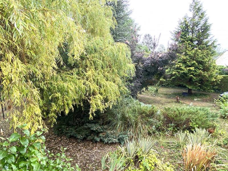 Maison ancienne - 142 m² - 8 pièces