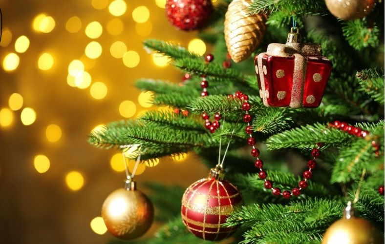 Quinzaine commerciale de Noël : Anima'Cars