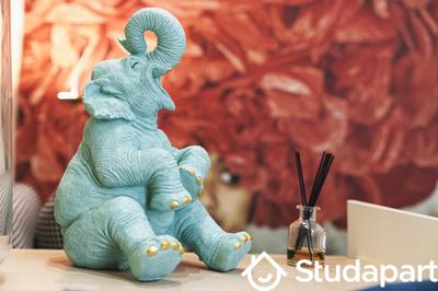 Appartement - 55 m² - 2 pièces