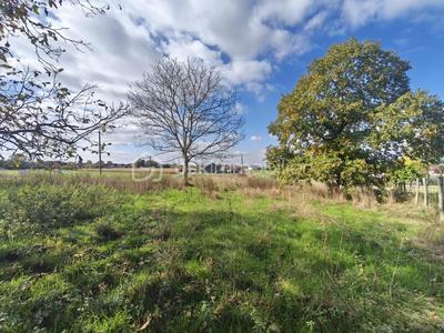 Terrain constructible - 1 113 m²