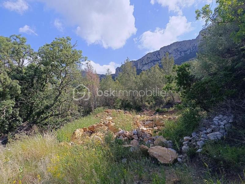 Terrain agricole - 5 230 m²