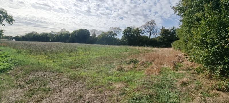 Terrain constructible - 267 m²