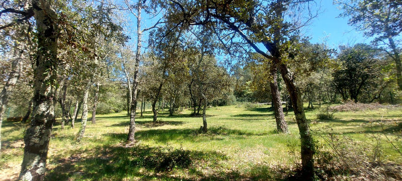 Villa - 170 m² - 7 pièces