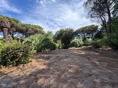 Maison - 240 m² - 9 pièces